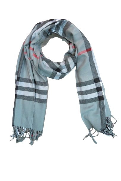 D&JEANS- Burberry Scarf With Fringe Trim