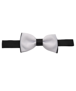 Dual Colored Bow ties