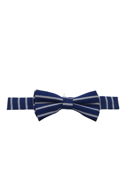 Men's Striped Bow ties