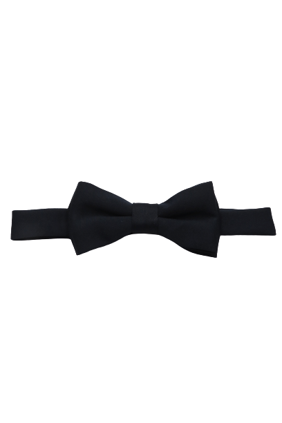Men's Plain Semi Shiny Bow ties