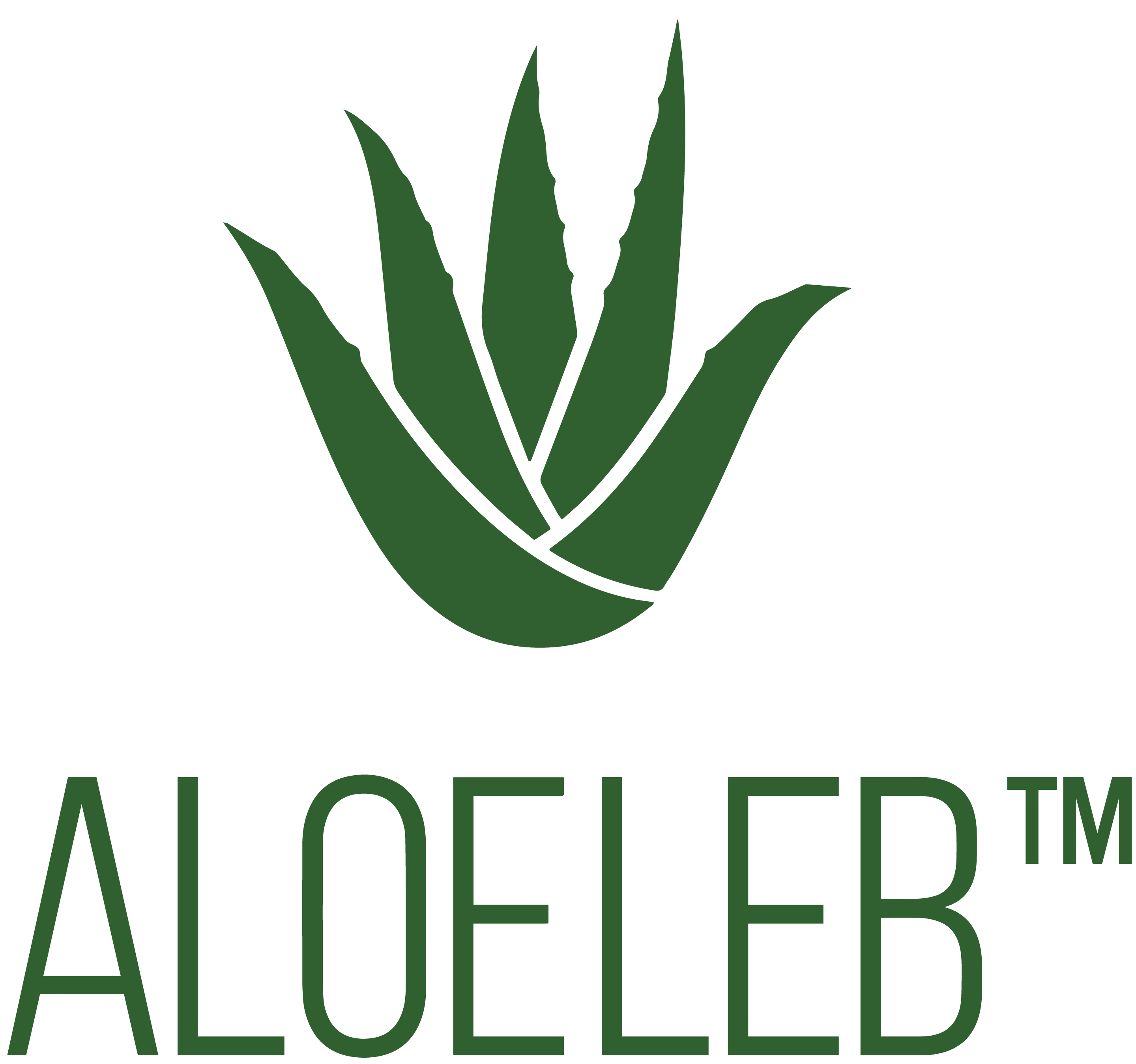 Aloeleb Social Media Logo Large Fb Icon Afandee