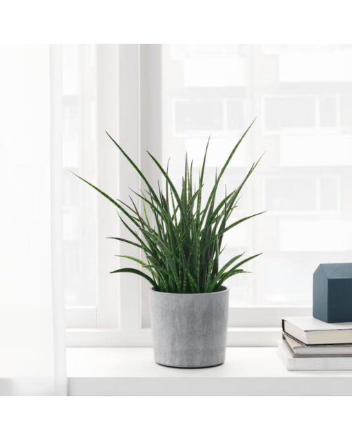 IKEA BOYSENBÄR Plant Pot In/Outdoor Light Grey 12 cm - Image 3