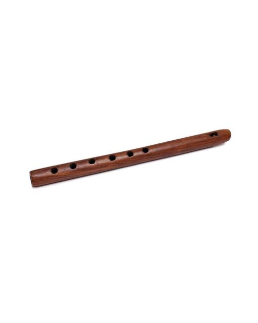 Top Apricot Wood Professional Flute - MFL111