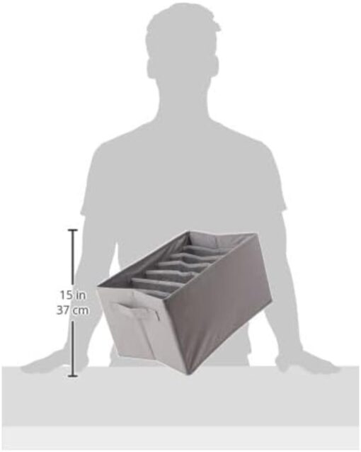 Amazon Basics Undergarment Organizers 2Pack Grey - Image 4