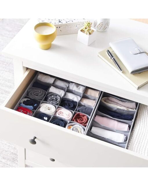 Amazon Basics Undergarment Organizers 2Pack Grey - Image 5