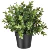 IKEA FEJKA Artificial Potted Plant Oregano 9 cm