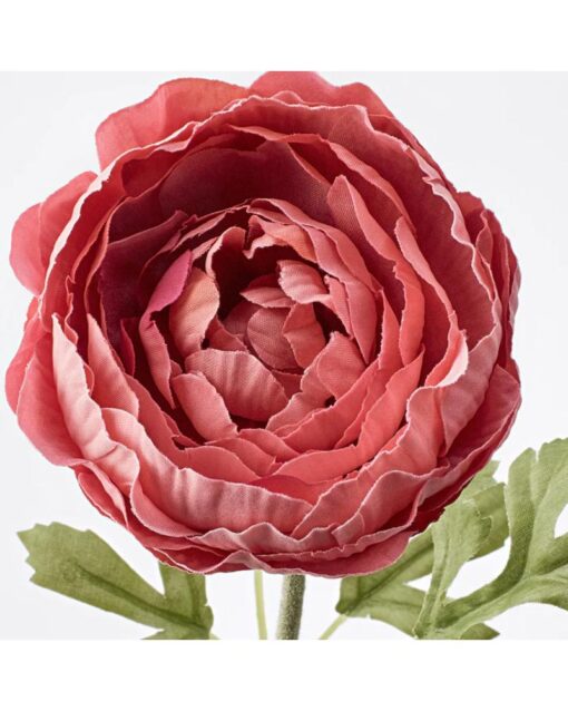 IKEA SMYCKA Artificial Flower Ranunculus Dark Pink 52 cm - Image 2