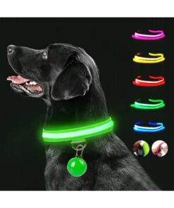 LED Collar for Pets