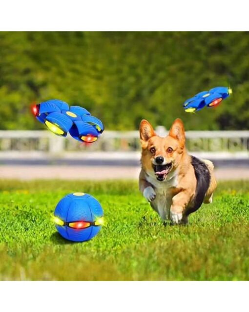 Bouncing UFO Ball for Pets - Image 2