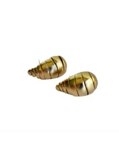 Shell Earrings