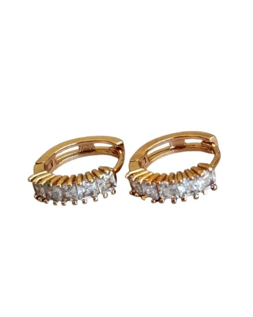 Simple Trendy Hoops Earrings