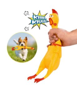 Screaming Chicken Toy for Pets